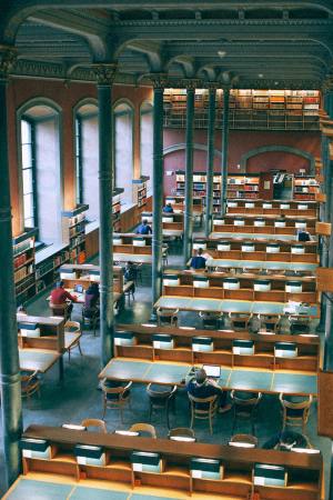 People are working on computers in a library. Photo taken from back-on to these people and you can see stacks of books in the background.