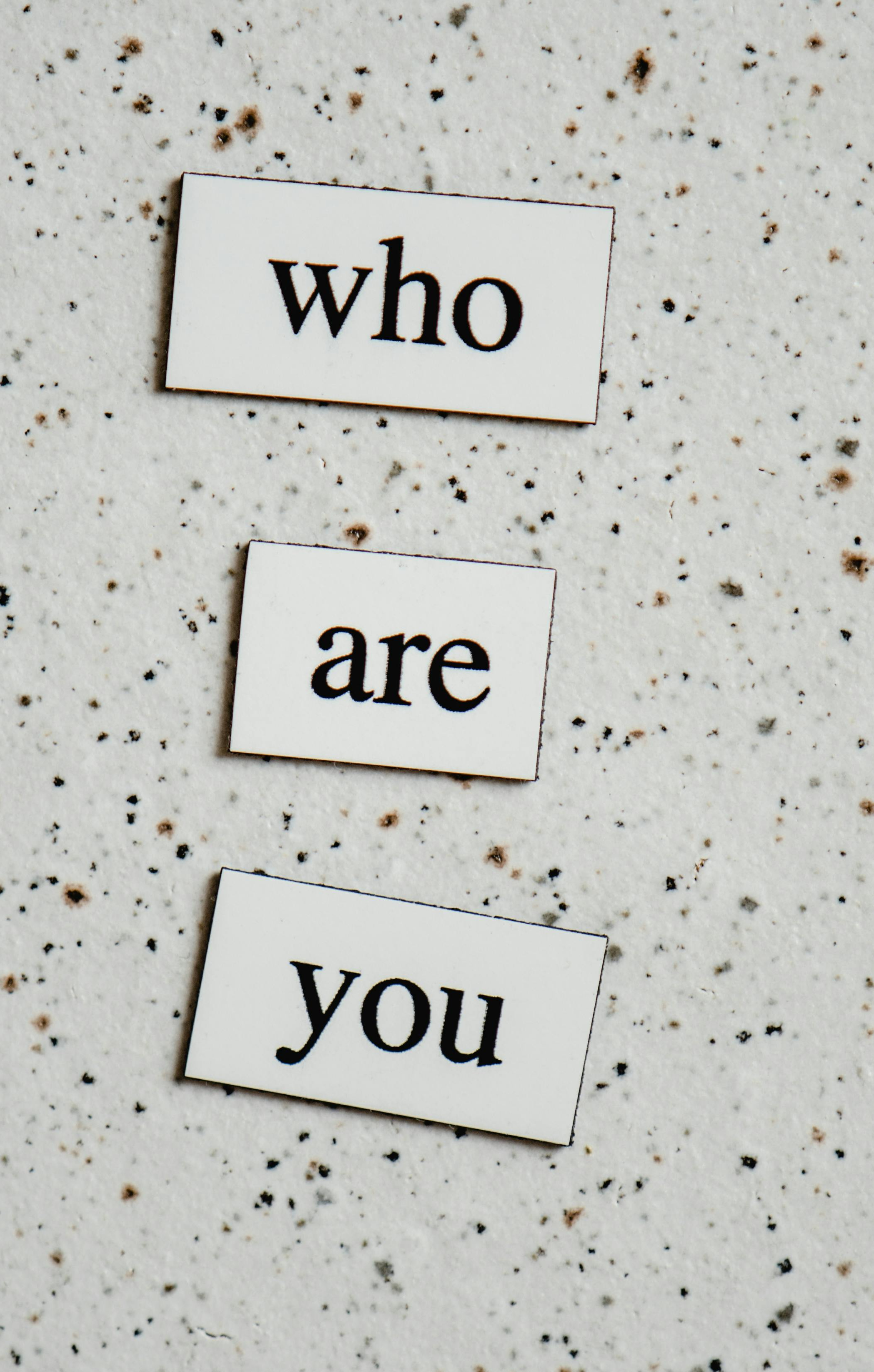 Individual magnets with black lettering on white backgrounds spell out "who are you". These sit on a speckled surface