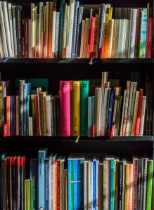 A tall, dark, wooden bookshelf with multicoloured book sits dappled in sunshine.